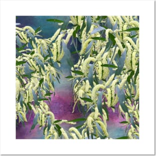 Wattle blooms in an abstract landscape Posters and Art